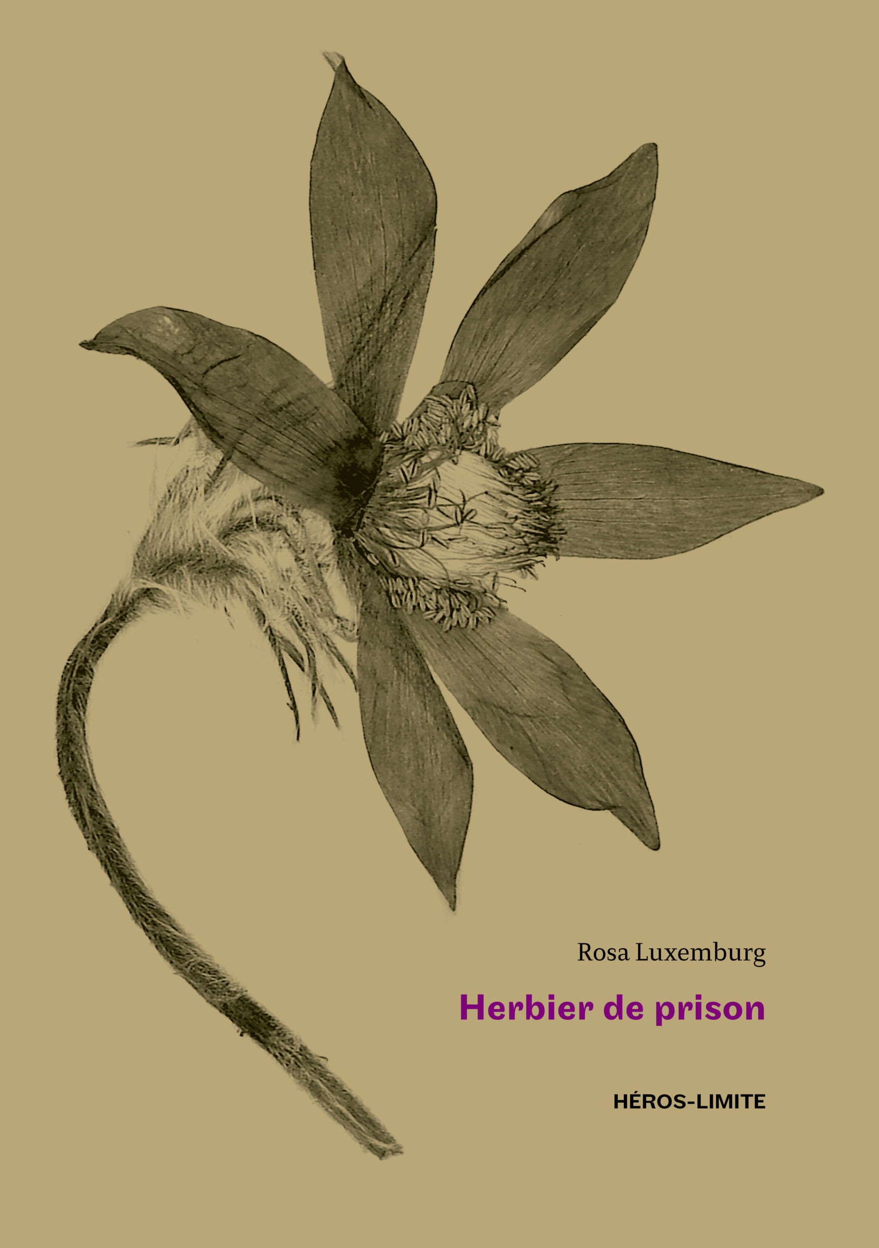 Herbier de prison - Les éditions Héros-Limite